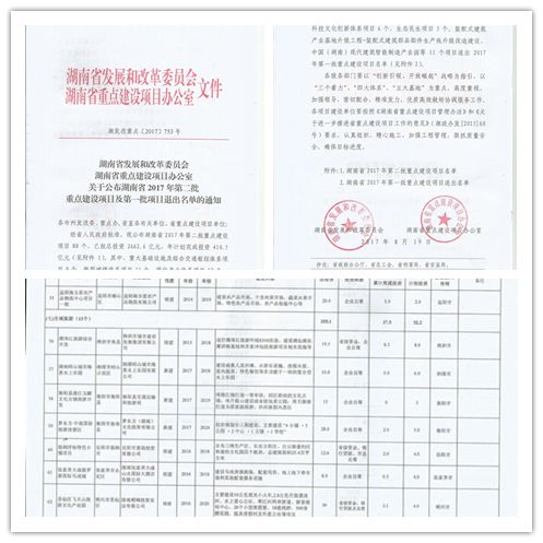 新奥天天免费资料东方心经,最新解答解释落实_AP26.19