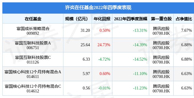 2024新澳正版免费资料大全,全面把握解答解释计划_修改型4.407