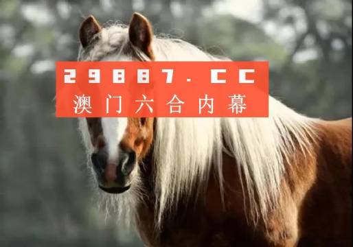 闻播 第51页